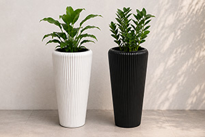 POTS