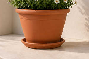 PLANTER SAUCER