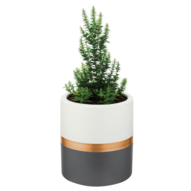 ΓΛΑΣΤΡΑ RIBBON ΚΥΛΙΝΔΡΟΣ 4L ΠΛΑΣΤΙΚΗ