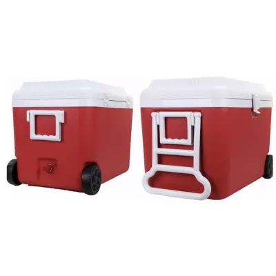 ΨΥΓΕΙΟ ΠΛΑΣΤΙΚΟ ΜΕ ΡΟΔΕΣ VC1994-2 60L 40x62x45cm VIOSARP