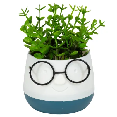 ΤΕΧΝΗΤΟ ΦΥΤΟ FACE WITH GLASSES ΣΕ ΓΛΑΣΤΡΑΚΙ 10x13cm No45021