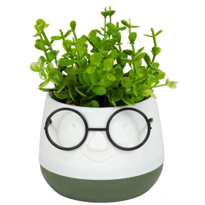 ΤΕΧΝΗΤΟ ΦΥΤΟ FACE WITH GLASSES ΣΕ ΓΛΑΣΤΡΑΚΙ 10x13cm No45021