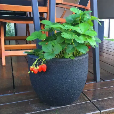 ΓΛΑΣΤΡΑ ΚΑΣΠΩ RUMBA MEDIUM 40x33cm