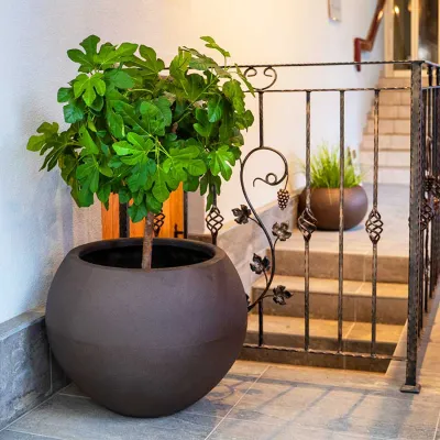 ΓΛΑΣΤΡΑ ΚΑΣΠΩ ΣΦΑΙΡΑ SWING 52x39cm