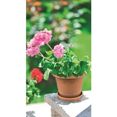 ΓΛΑΣΤΡΑ ΠΛΑΣΤΙΚΗ VIOSARP No4 9,3L 30x30x25cm