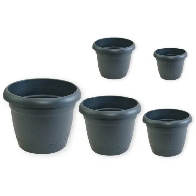 ΓΛΑΣΤΡΑ ΜΕ ΠΙΑΤΟ ΣΧΕΔΙΟ PEARL 24χ19,5cm Νο343