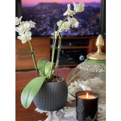 ΓΛΑΣΤΡΑKI ΓΙΑ ΚΑΚΤΑΚΙ ΣΤΡΟΓΓΥΛΟ CORAL No361 8.8x6.8cm 0.15L με πιάτο