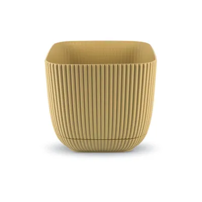 ΓΛΑΣΤΡΑKI ΓΙΑ ΚΑΚΤΑΚΙ ΤΕΤΡΑΓΩΝΟ CORAL No381 8,2x8,2x7,1cm 0,27L ΜΕ ΠΙΑΤΟ