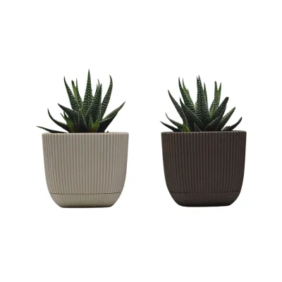 ΓΛΑΣΤΡΑKI ΓΙΑ ΚΑΚΤΑΚΙ ΤΕΤΡΑΓΩΝΟ CORAL No382 0,67L 11x11x9,5cm ΜΕ ΠΙΑΤΟ